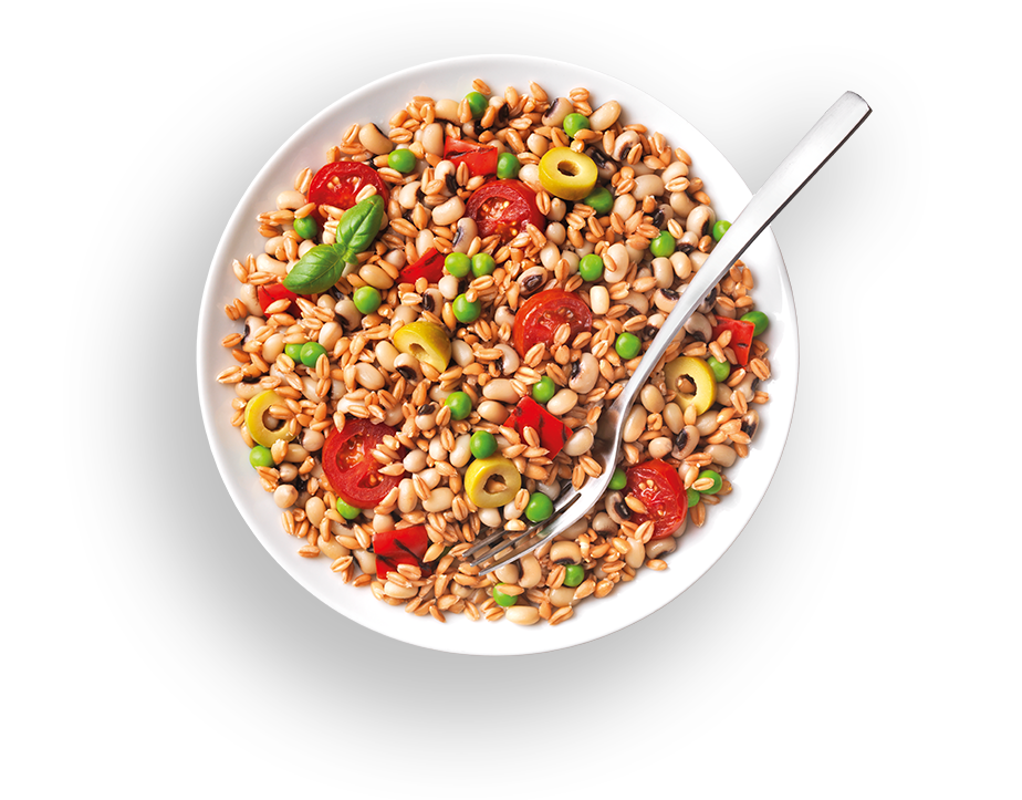 Lunch Bowl Espelta
